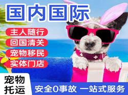 宁蒗泸沽湖机场快递国际宠物托运 【国